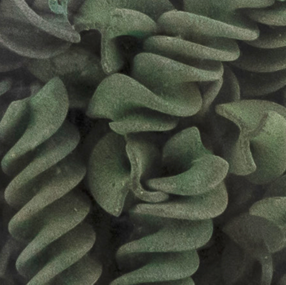 Bio Fusilli Spirulina 250g