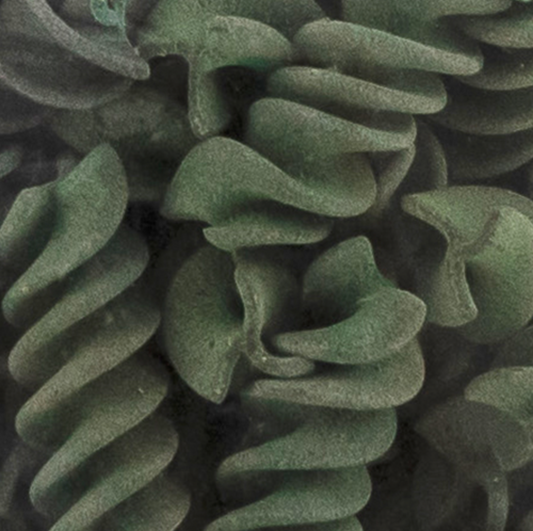 Bio Fusilli Spirulina 250g