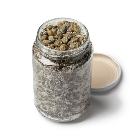 Bio Kapern in Salzlake35g